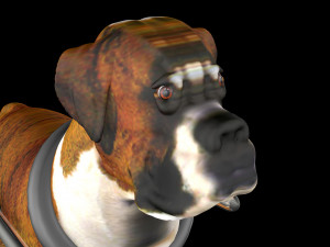 Dog Wheelchair 8K 3D Модель