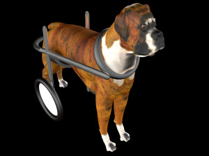 Dog Wheelchair 8K 3D Модель