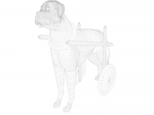 Dog Wheelchair 8K 3D Модель