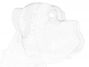 Dog Wheelchair 8K 3D Модель
