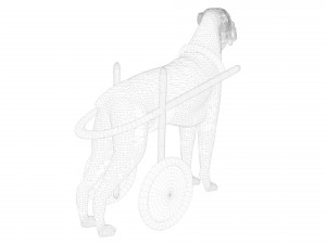Dog Wheelchair 8K 3D Модель