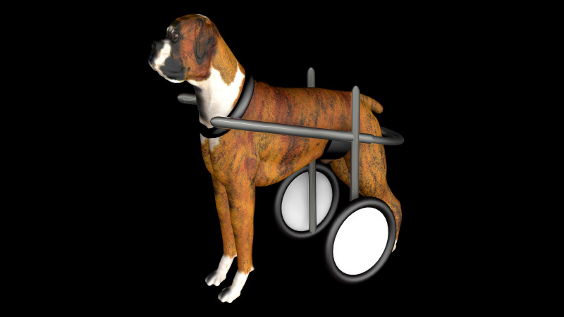 Dog Wheelchair 8K 3D Модель .c4d .max .obj .3ds .fbx .stl .blend
