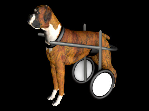 Dog Wheelchair 8K 3D Model