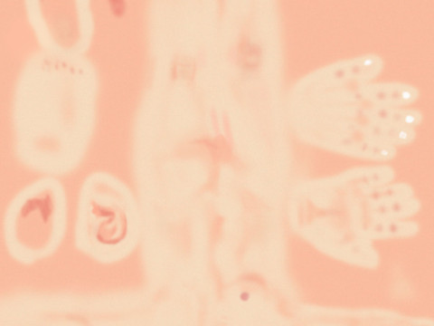 Bar na plaży 8K Model 3D