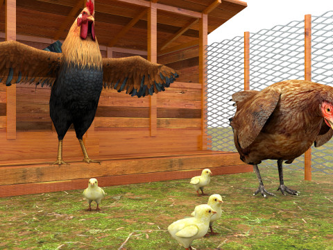 Chicken Coop 8K 3D Model