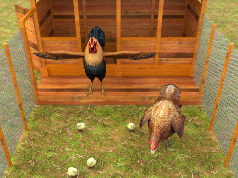 Chicken Coop 8K 3D Model