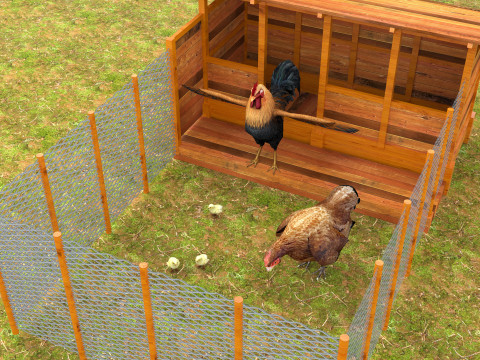 Chicken Coop 8K 3D Model