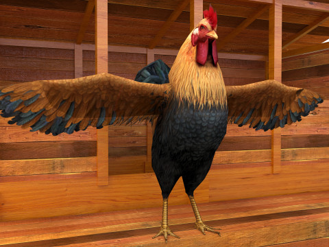 Chicken Coop 8K 3D Model