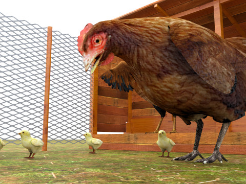 Chicken Coop 8K 3D Model