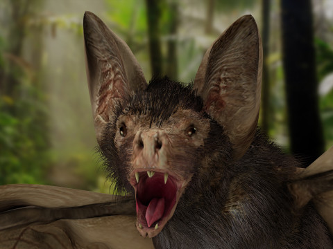 Little Brown Bat 8K 3Dモデル