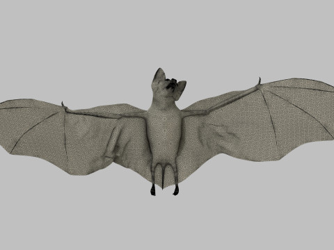 Little Brown Bat 8K 3Dモデル