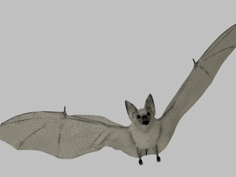 Little Brown Bat 8K 3Dモデル