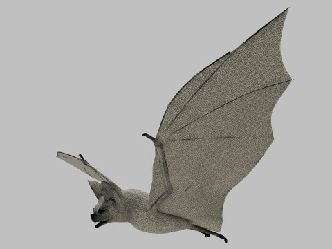 Little Brown Bat 8K 3Dモデル