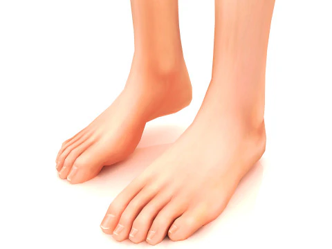 Hot Girl 4K 3D Model