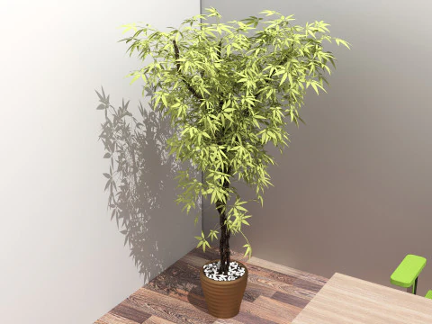 Office Plan 3D Model