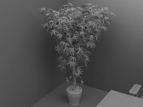Office Plan 3D Model