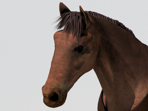 Western Wagon 2 - 8K Modelo 3D