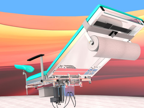 Gynecological Examination Bed Modello 3D