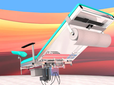 Gynecological Examination Bed 3D Model