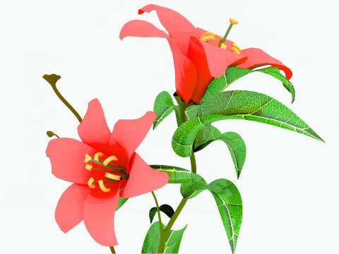 Cherry Time 8K Modelo 3D