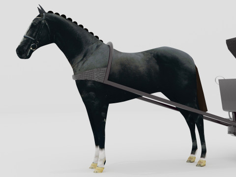 Race Chariot 8K Modèle 3D