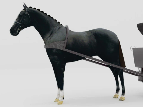 Race Chariot 3D Model