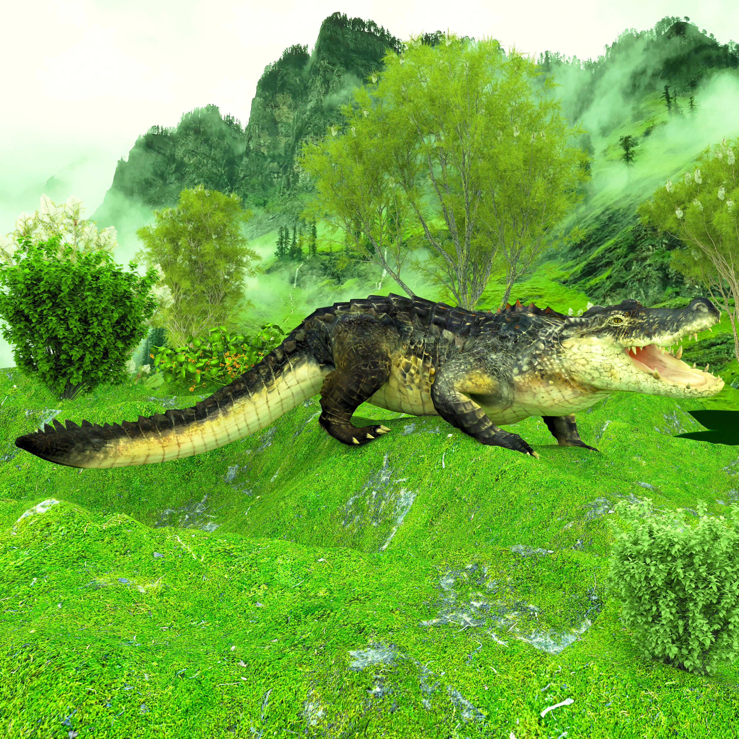 Crocodile 3D Model .c4d .max .obj .3ds .fbx .stl .blend 