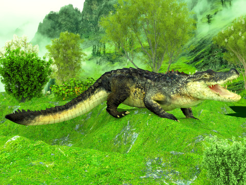 Crocodile 8K 3D Модель