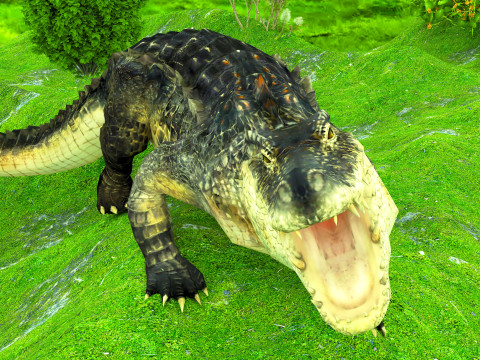 Crocodile 8K 3D Model