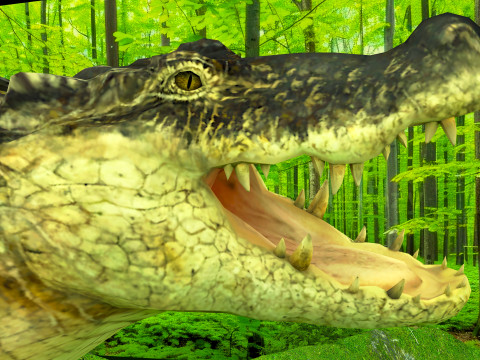 Crocodile 8K 3D Model