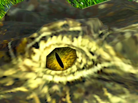 Crocodile 3D Model
