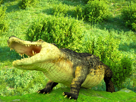 Crocodile 8K 3D Model