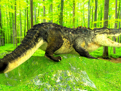 Crocodile 8K 3D Model