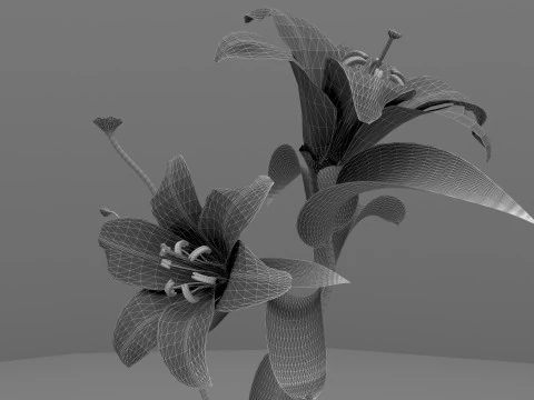 Cherry Time 8K 3D Model
