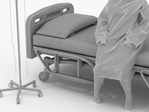 Patient 4K Model 3D