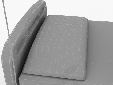 Patient 4K Model 3D