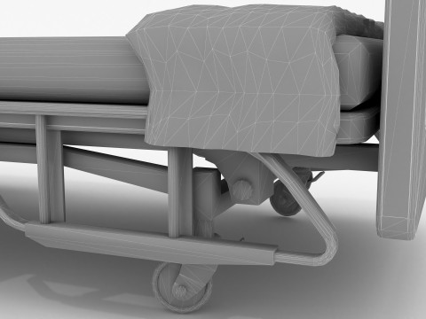 Patient 4K Model 3D