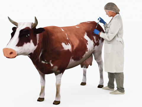 Veterinarian 4K 3D Model