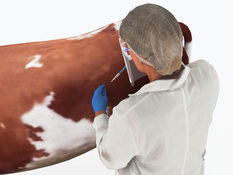 Veterinarian 4K 3D Модель