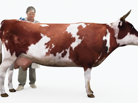 Veterinarian 4K 3D Модель