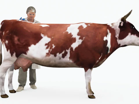 veterinario 4k Modelo 3D