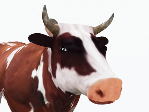 Veterinarian 4K 3D Модель