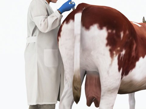 Veterinarian 4K 3D Модель