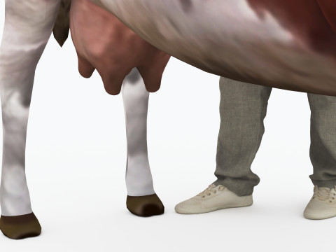 Veterinarian 4K 3D Модель