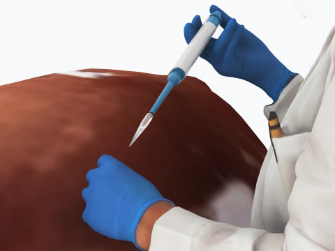 Veterinarian 4K 3D Модель