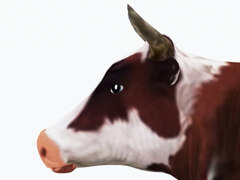 Veterinarian 4K 3D Модель