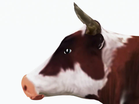 veterinario 4k Modelo 3D