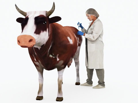 Veterinarian 4K 3D Модель