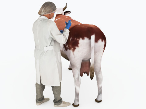 Veterinarian 4K 3D Модель