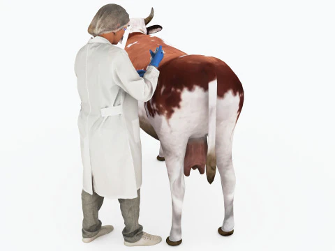 veterinario 4k Modelo 3D